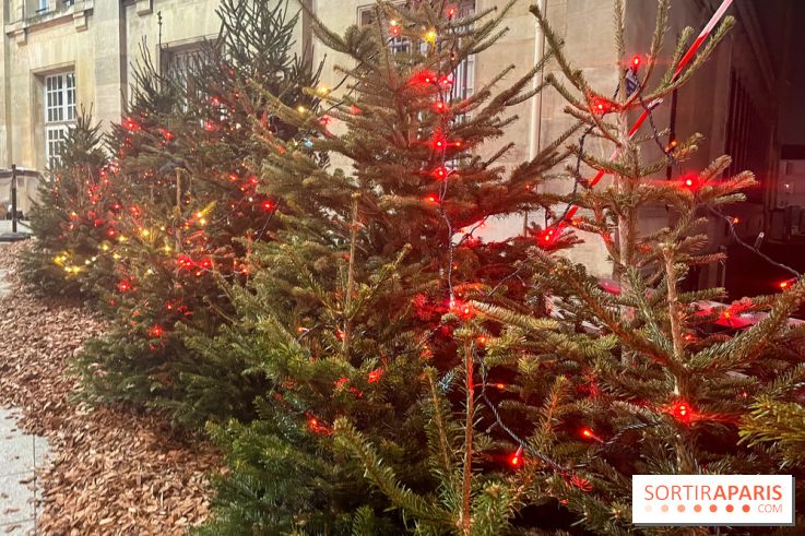 Bel Hiver Saint-Denis 2024 - nos photos - image00020