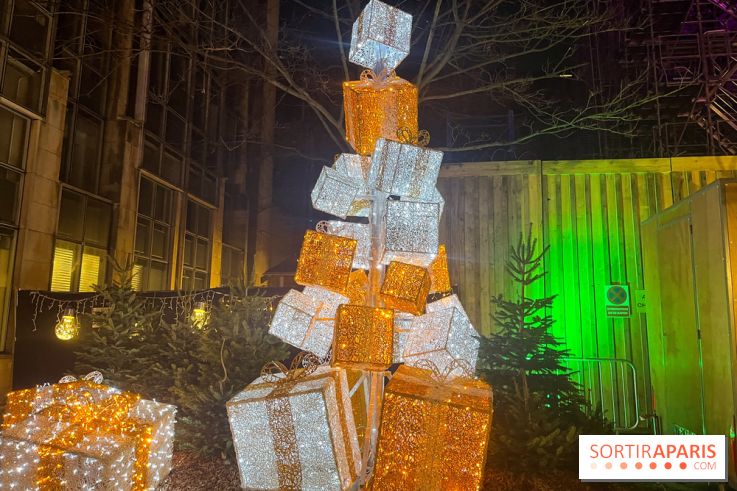 Bel Hiver Saint-Denis 2024 - nos photos - image00017