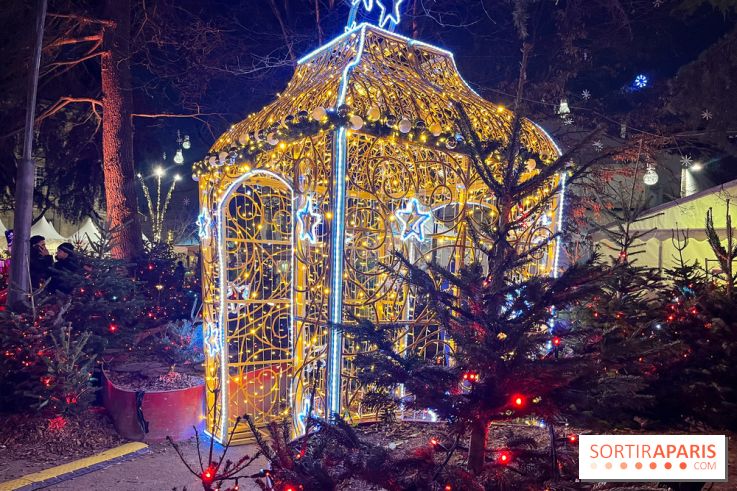 Bel Hiver Saint-Denis 2024 - nos photos - image00003