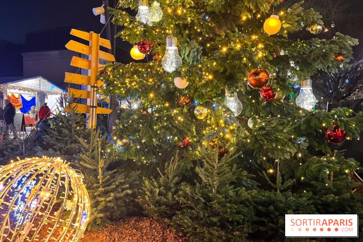 Bel Hiver Saint-Denis 2024 - nos photos - image00005