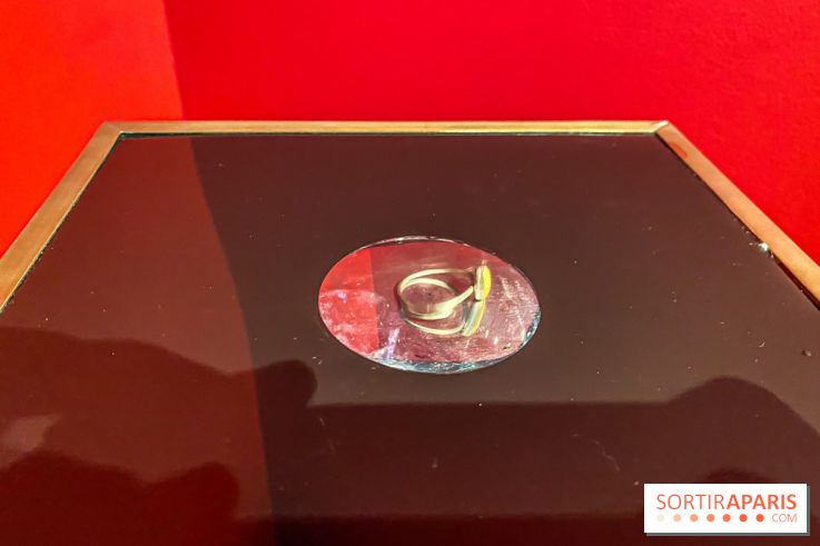 Exposition Magique ! au Musée de la Carte à jouer - IMG 2173