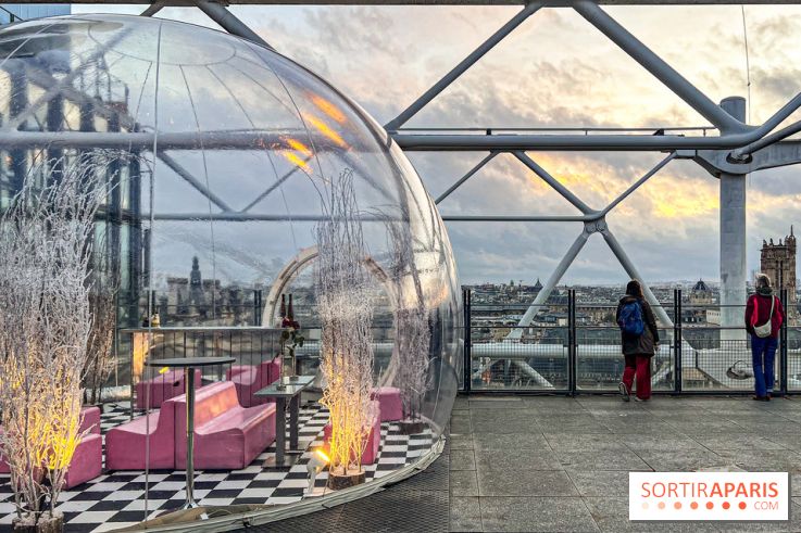 Bulle de rêves : la terrasse d'hiver du restaurant George au sommet du Centre Pompidou - IMG 5327 jpg