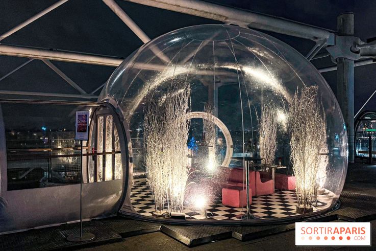 Bulle de rêves : la terrasse d'hiver du restaurant George au sommet du Centre Pompidou - IMG 5401 jpg