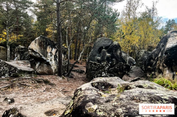 Les 25 bosses - photos - image00084