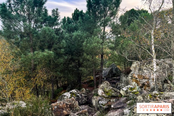 Les 25 bosses - photos - image00081