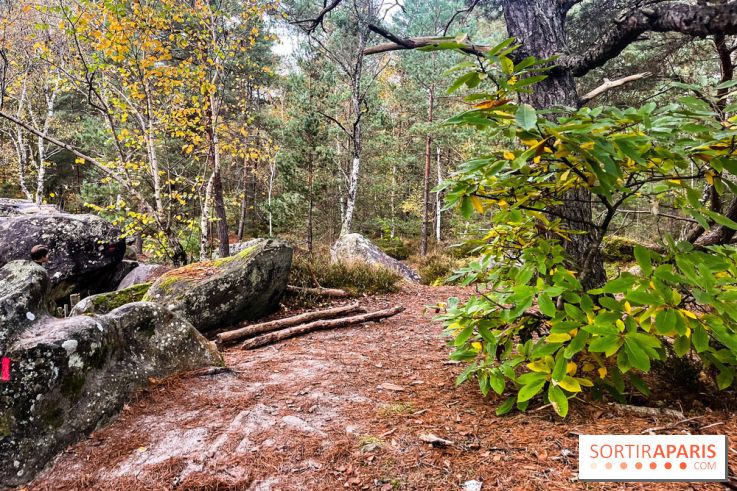 Les 25 bosses - photos - image00083