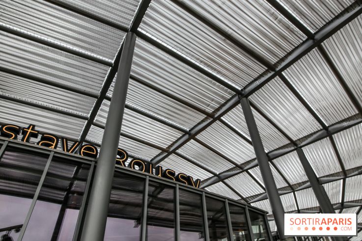 Gare Villejuif - Gustave Roussy, nos phoros