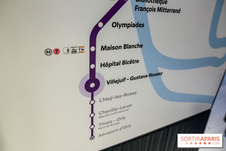 Gare Villejuif - Gustave Roussy, nos phoros