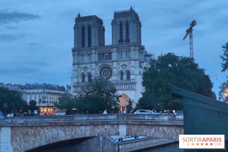 Notre-Dame de Paris - visuels - nuit