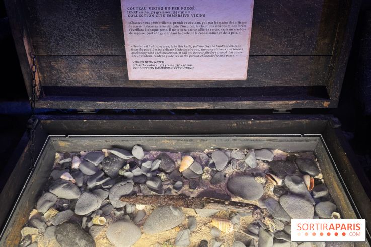 Cité Immersive Viking  - IMG 5251