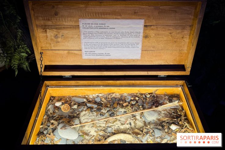 Cité Immersive Viking  - IMG 5274