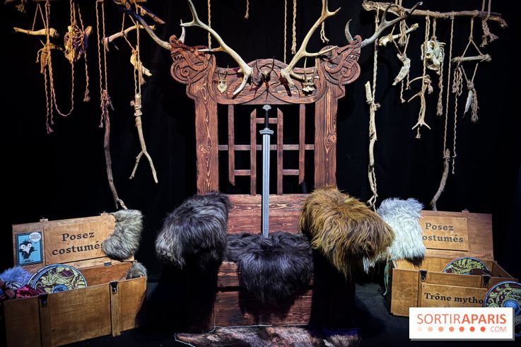 Cité Immersive Viking
