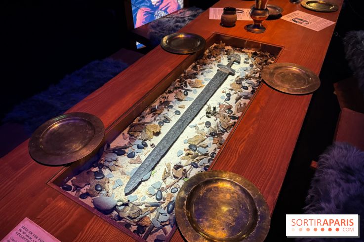 Cité Immersive Viking  - IMG 5296