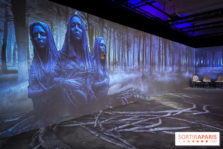 Cité Immersive Viking