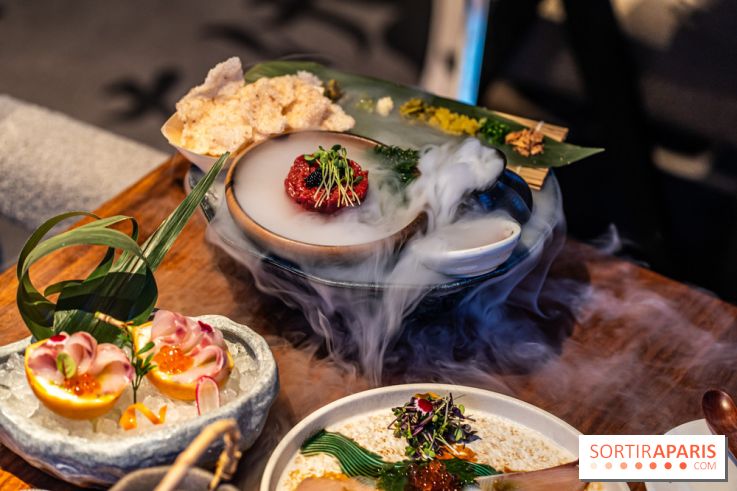 Pink Koï Paris - restaurant japonais -  Beef Tartare