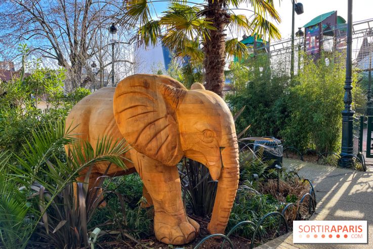 Square de la Jungle - nos photos