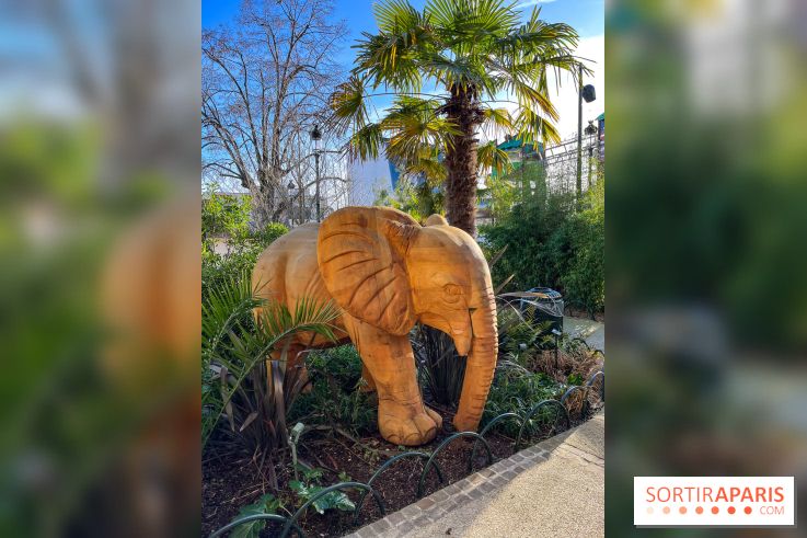 Square de la Jungle - nos photos