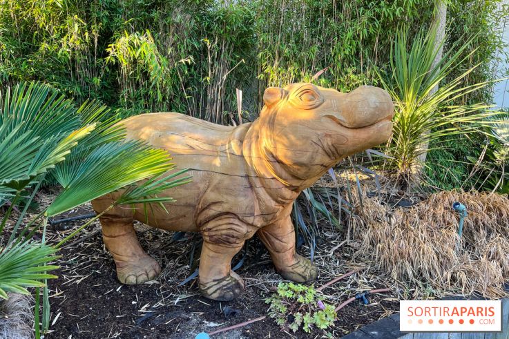 Square de la Jungle - nos photos - image00010