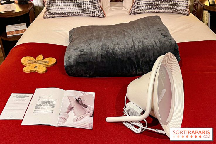 Les Lumières, l'hôtel 5* près du Château de Versailles  - image00067