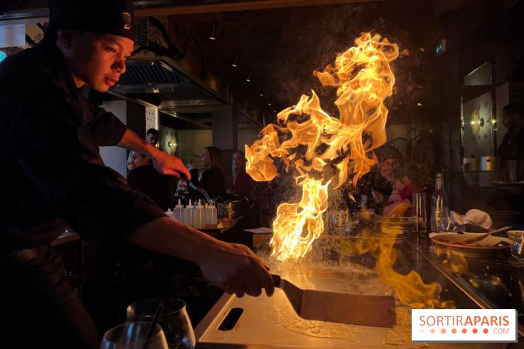 Benihana - Teppanyaki