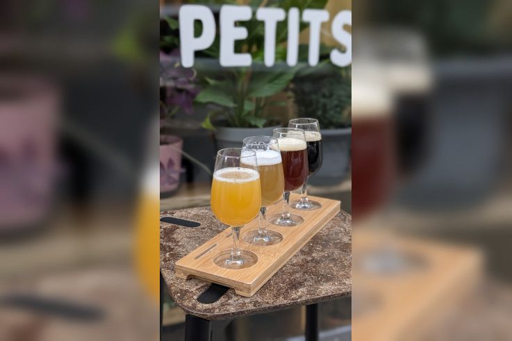 Campagne #34246 - PXL 20260119 113701139.PORTRAIT