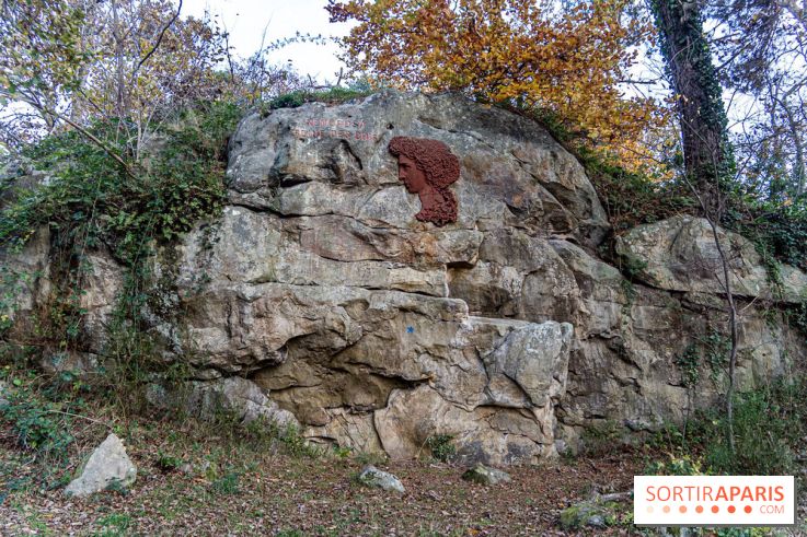 Randonnée à Fontainebleau : le sentier sur les pas de Denecourt jusqu’à la Tour Denecourt -  A7C7554
