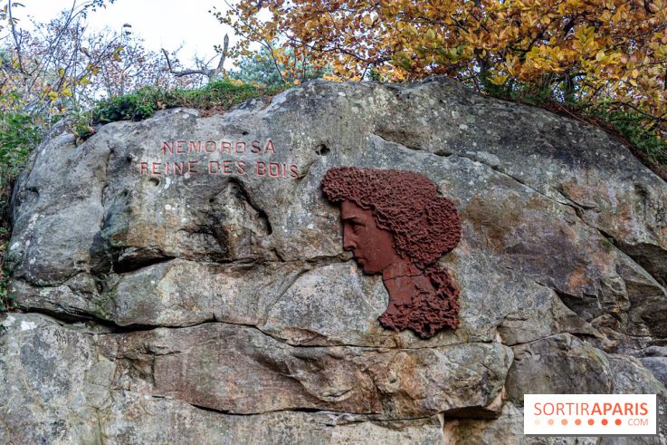 Randonnée à Fontainebleau : le sentier sur les pas de Denecourt jusqu’à la Tour Denecourt -  A7C7555