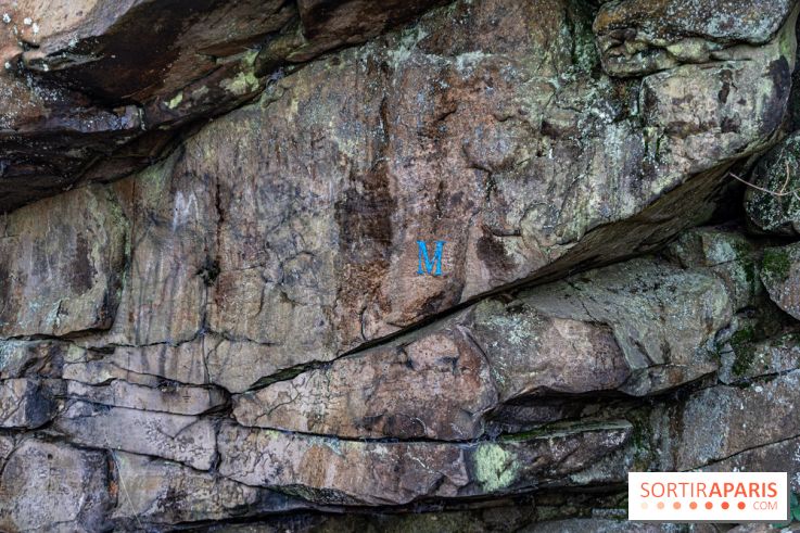 Randonnée à Fontainebleau : le sentier sur les pas de Denecourt jusqu’à la Tour Denecourt -  A7C7559