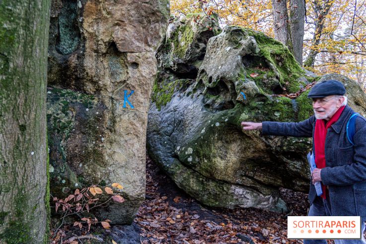 Randonnée à Fontainebleau : le sentier sur les pas de Denecourt jusqu’à la Tour Denecourt -  A7C7560