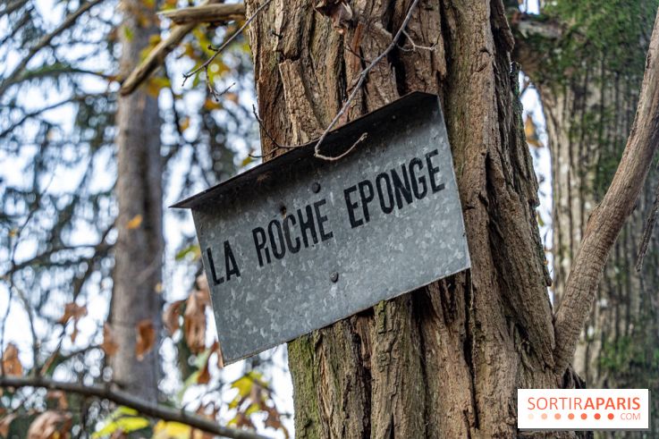 Randonnée à Fontainebleau : le sentier sur les pas de Denecourt jusqu’à la Tour Denecourt -  A7C7572