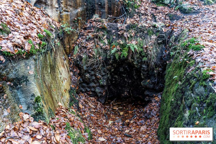 Randonnée à Fontainebleau : le sentier sur les pas de Denecourt jusqu’à la Tour Denecourt -  A7C7577