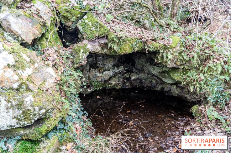 Randonnée à Fontainebleau : le sentier sur les pas de Denecourt jusqu’à la Tour Denecourt -  A7C7587
