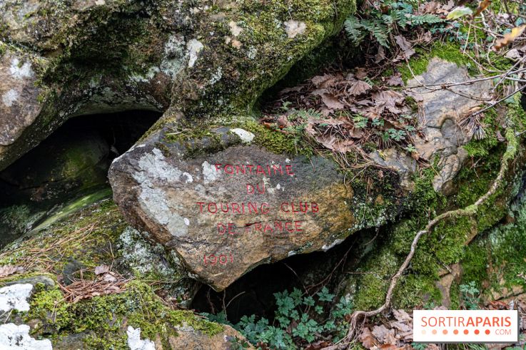 Randonnée à Fontainebleau : le sentier sur les pas de Denecourt jusqu’à la Tour Denecourt -  A7C7590