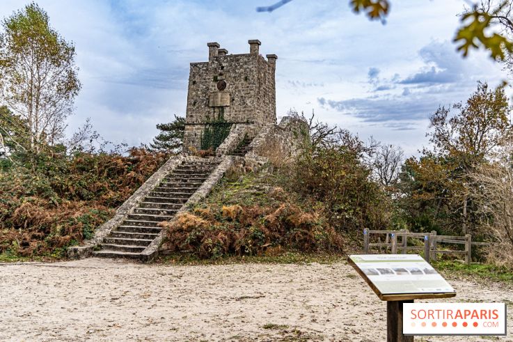Randonnée à Fontainebleau : le sentier sur les pas de Denecourt jusqu’à la Tour Denecourt -  A7C7603