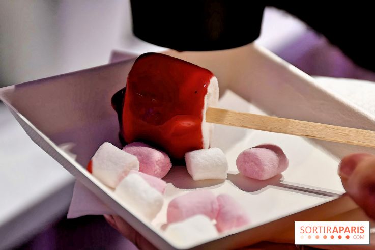 Le Pop-Up Store Yves Saint-Laurent Beauté à Pairs - IMG 5227