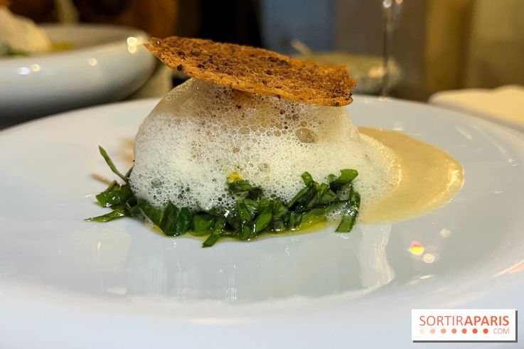 Campelli - Saint-Jacques à l'oseille