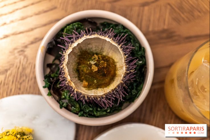 Restaurant Bellefeuille par Grégory Garimbay au Saint James Paris -  A7C0395