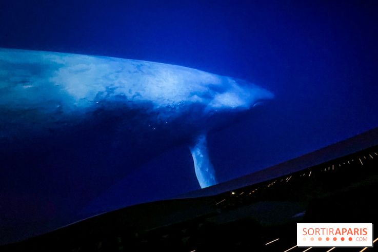 La Géode 2025 - IMG 8535 jpg