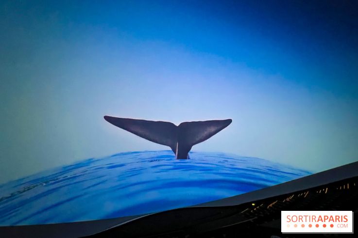 La Géode 2025 - IMG 8581 jpg