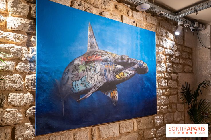 Exposition street-art Colors festival x Tracks 119  -  A7C0551