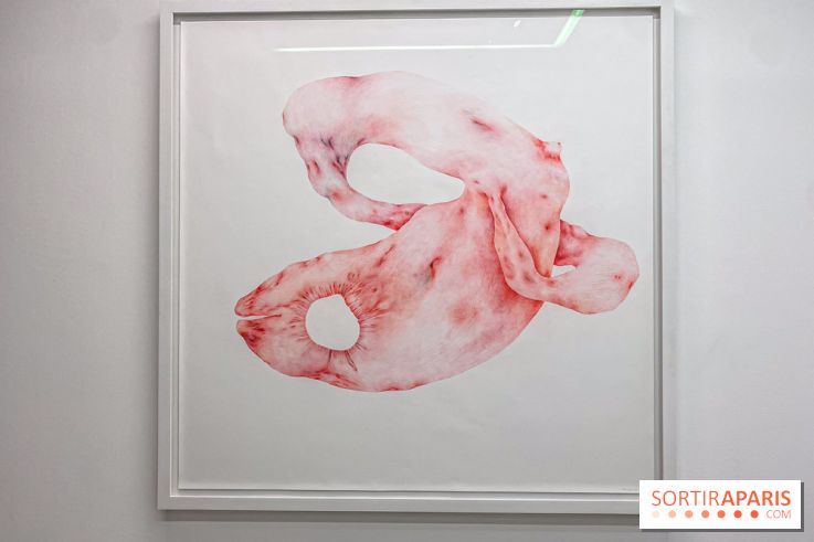 Exposition Belladone de Tatiana Wolska au Drawing Lab - IMG 2355