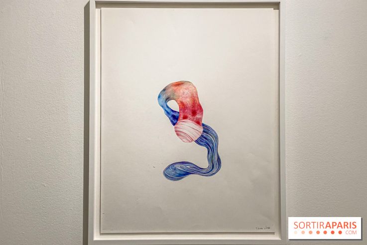 Exposition Belladone de Tatiana Wolska au Drawing Lab - IMG 2362