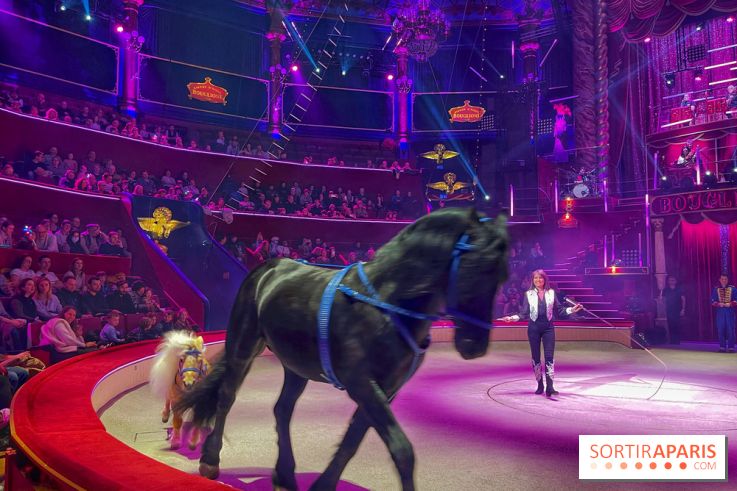 Spectaculaire - Cirque d'hiver