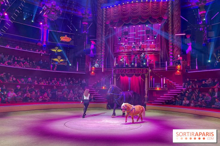 Spectaculaire - Cirque d'hiver - IMG 8495