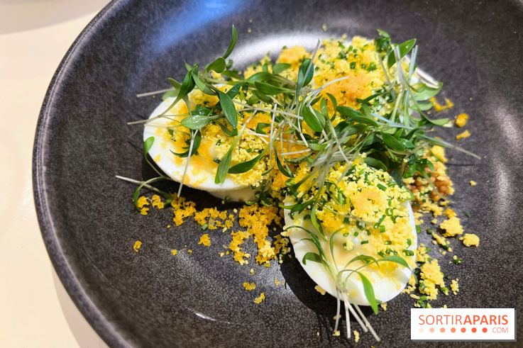 Argile - Oeufs mimosa, poutargue