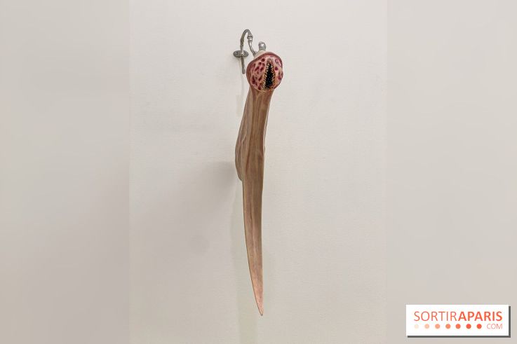 Clear History : l'exposition gratuite d'Oli Epp à la galerie Perrotin - IMG 2709