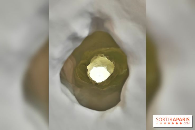 Chaosmos : une expo gratuite qui interroge notre place dans l'univers au Maif Social Club - photos - fotor 1738750083255