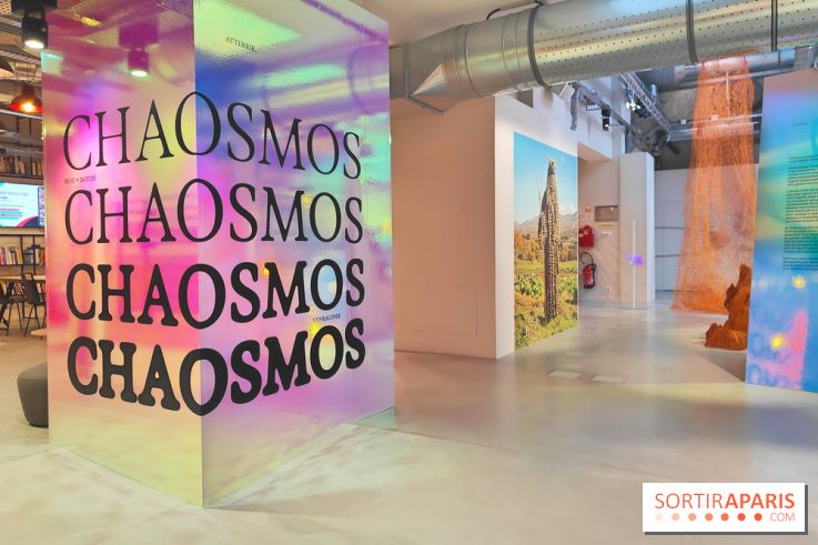 Chaosmos : une expo gratuite qui interroge notre place dans l'univers au Maif Social Club - photos - fotor 1738750058916