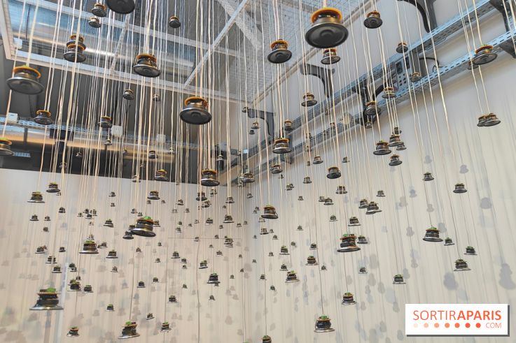 Chaosmos : une expo gratuite qui interroge notre place dans l'univers au Maif Social Club - photos - fotor 1738750023004