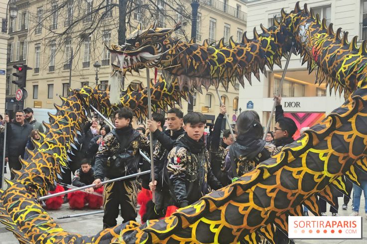 Défilé du Nouvel An Lunaire-Chinois Faubourg Saint-Honoré  - fotor 1738762237324